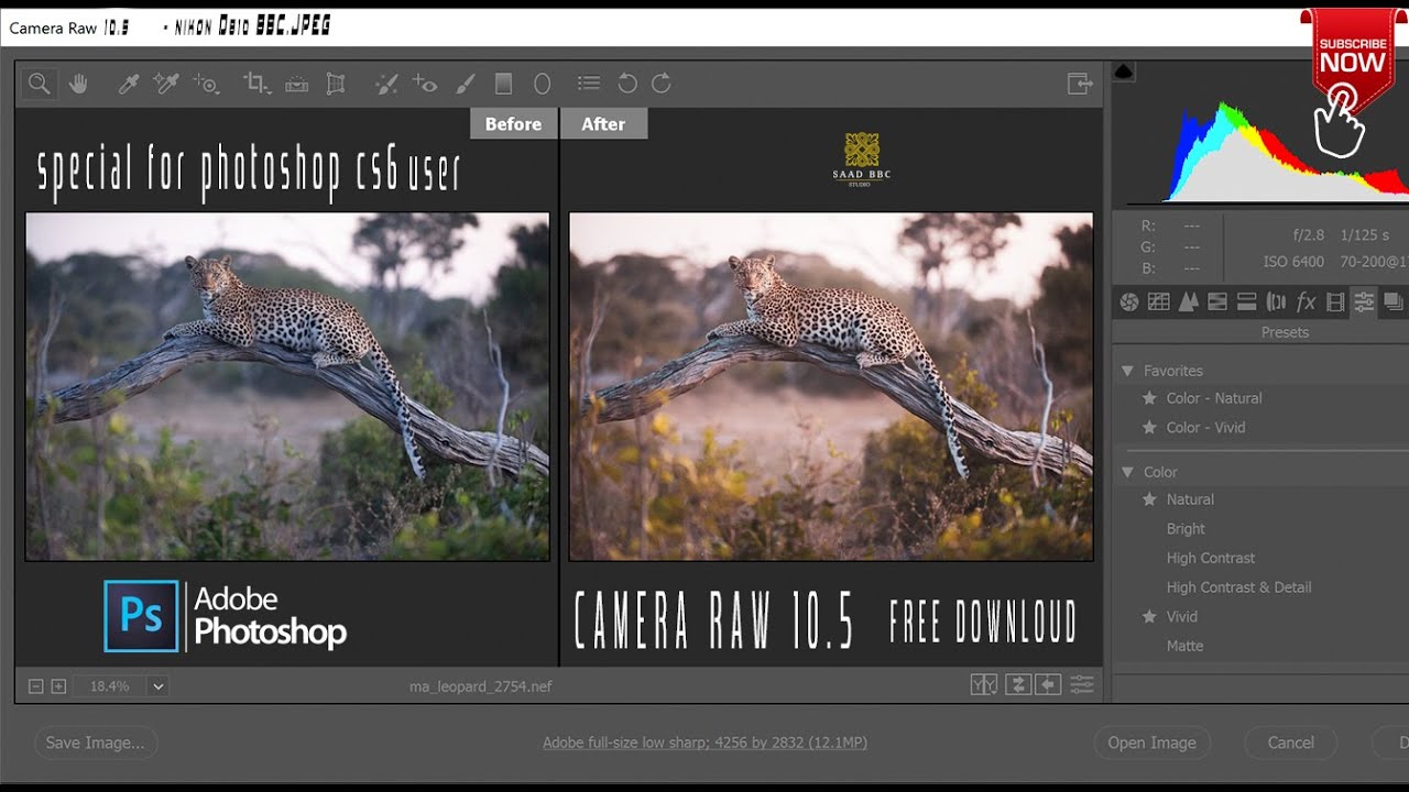 how to manually update adobe camera raw 6.7 in cs5 how to manually update adobe camera raw 6.7 in cs5