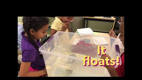 2nd Grade Float & Sink Lab