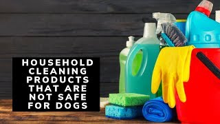 Household Cleaning Products That Are Not Safe for Dogs