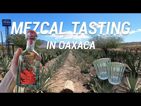 Oaxaca Mexico in 2021: Mezcal tasting, Monte Albán & Teotitlán del Valle | Episode 09