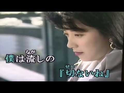 僕は流しの運転手　カバー　唄：美里 胡往