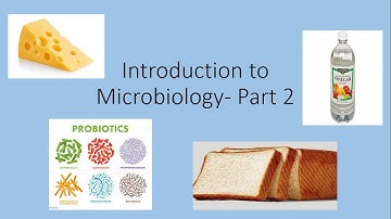 Introduction To Microbiology - Part2 | Class 10| SSC| Science 2 Chapter 7|  Cheese | Probiotics