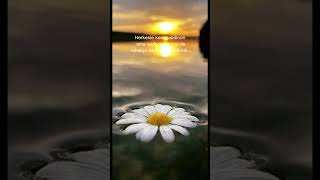 Ben Bir Keklik Olaydım Zerdüşt Resimi