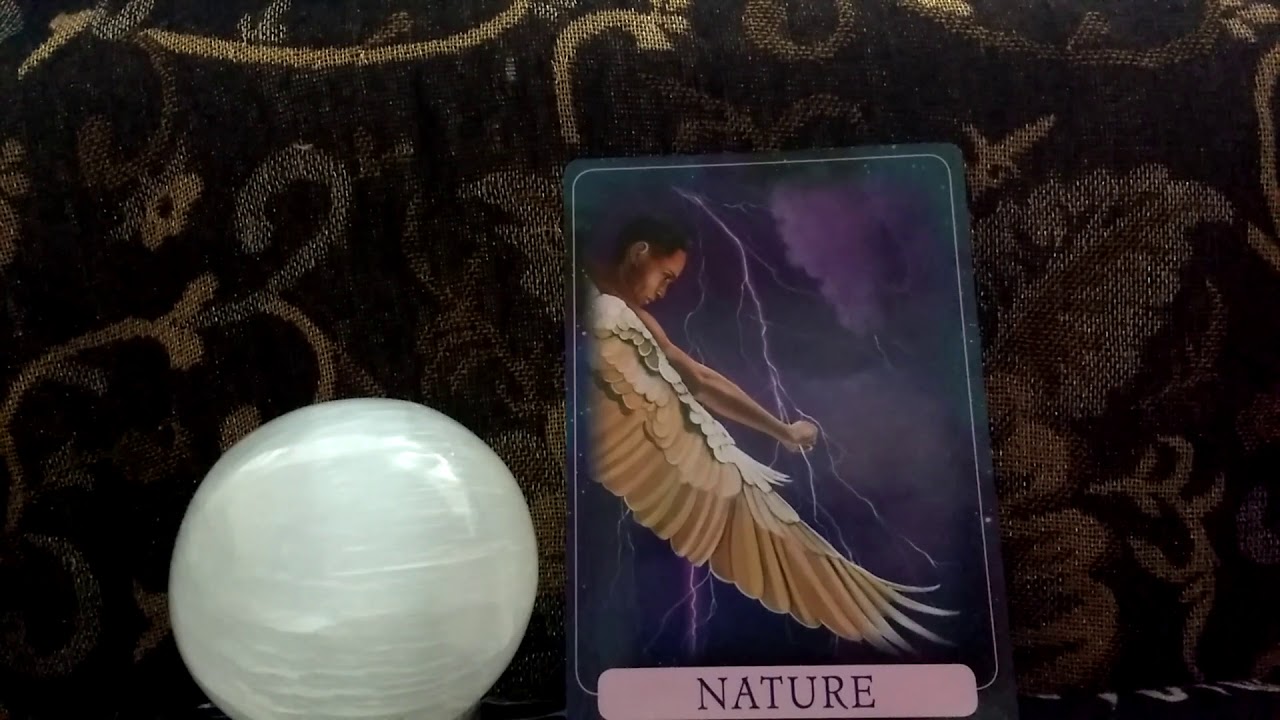 Daily Oracle Card Reading 24th May Indigo Angel Nature ALL SIGNS unicorns Angels tarot