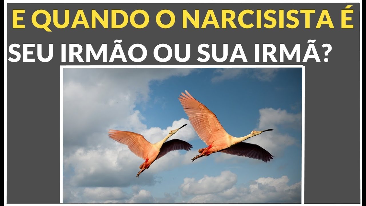 SEU IRMÃO OU SUA IRMÃ É NARCISISTA?  COM CERTEZA VOCÊ VIVE UM  PESADELO.