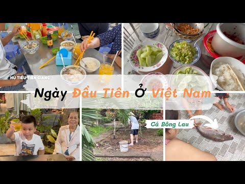 Video Một ngày của mình trở về Việt Nam như thế nào? || Po... - youtube