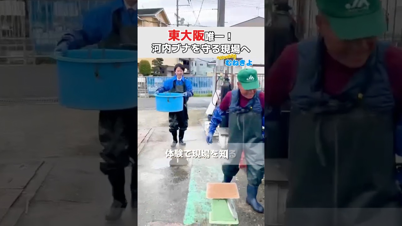 東大阪市には、私たちの食を支える大切な農業や養魚施設もあります下六万寺にある山口養魚場様より頂いたお声をしっかりと国政に届けて参ります。 #宗清 #衆議院議員 #東大阪 #自民党 #河内ブナ