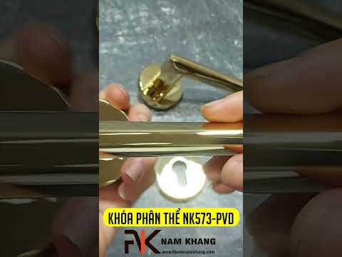 Kh&oacute;a Cửa Ph&acirc;n Thể NK573-PVD
