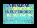 La realidad vibratoria es el periodo de gestación 2020 - Abraham Hicks en Español