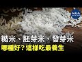 (字幕) 米飯是很健康的主食，能提供人體養分和能量。糙米、胚芽米、發芽米、白米，在加工程度和營養成份上，各有一些差異。| #香港大紀元新唐人聯合新聞頻道