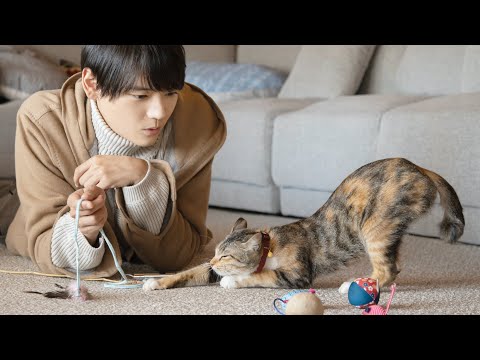 イケメン×シェアハウス『ねこ物件』映画化決定！ 古川雄輝と猫がたわむれる超特報解禁