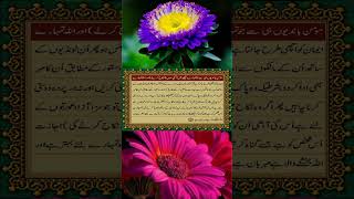 Quran pak tarjuma // surah nisa // urdu // part 173