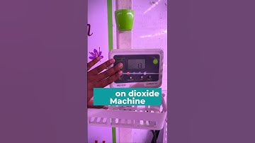 8x40 के कंटेनर में होती है Kesar 🤩 की खेती || Saffron Farming || Indian Farmer Hindi || #shorts