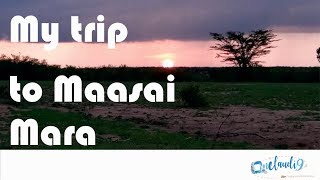 My Masai Mara safari