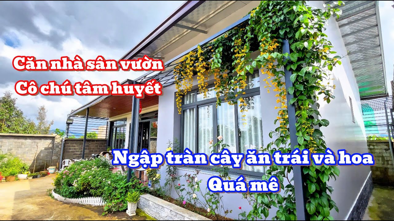 VÌ CÔNG VIỆC NÊN CÔ CHÚ ĐÀNH PHẢI BÁN CĂN NHÀ SÂN VƯỜN NGẬP TRÀN CÂY ĂN TRÁI VÀ HOA VÀO LÀ MÊ NGAY