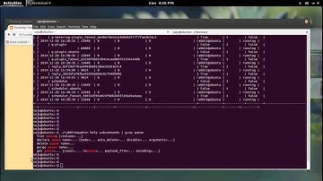 How to Access RabbitMQ Management Plugin rabbitmqadmin Command Line