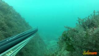 Video-Miniaturansicht von „Pesca Sub: "La nebbia agli irti colli" 24-11-14“