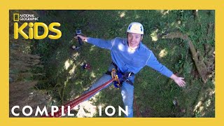 Explore U.S. national parks to learn about trees  | Nat Geo Kids Compilation | @natgeokids