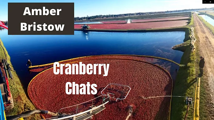 Cranberry Chats with Amber Bristow