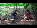 ABIS HUJAN MUNCUL SUARA MISTERIUS DARI HUTAN PERDU..!