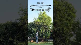 Aai  Maa  Mother  Mother Love  Life  marathi aai