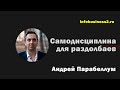 Cамодисциплина для раздолбаев. Андрей Парабеллум (05.01.2014) [Вебинары]