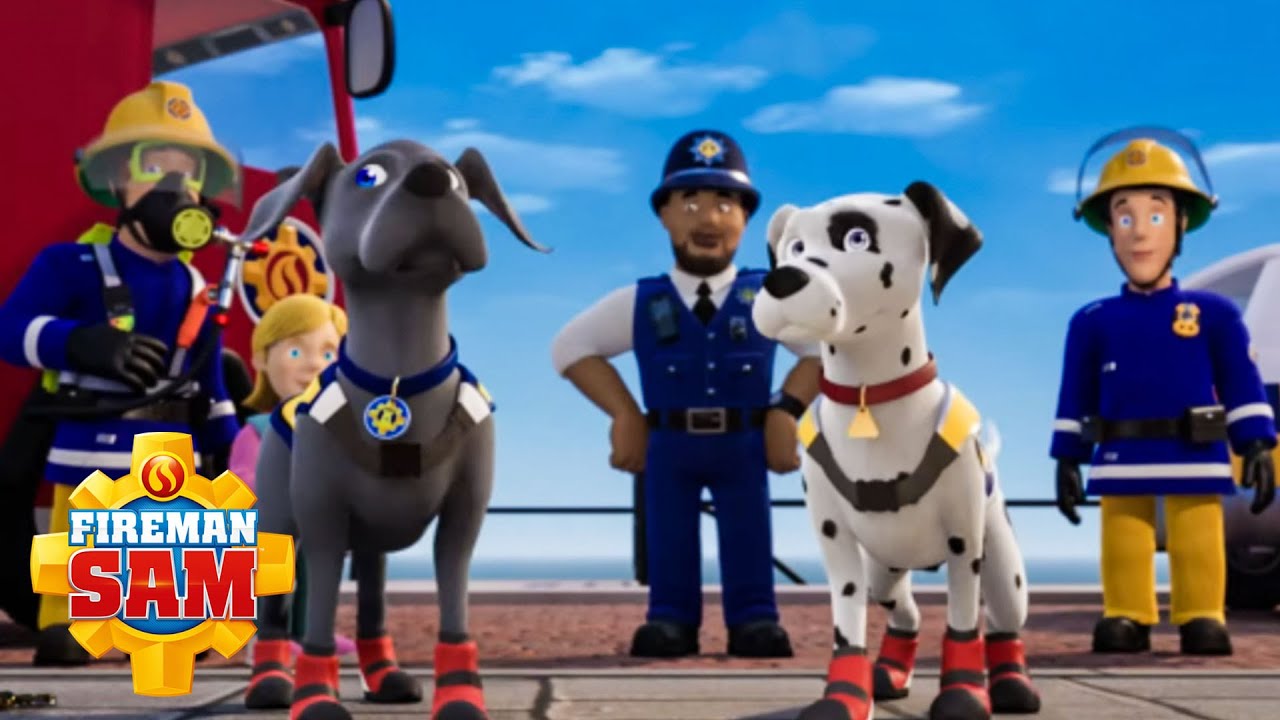 NEW Dog on the Block! 🐶 SEASON 13 NEW EPISODES Fireman Sam