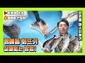 벵에돔 회뜨기 손질법 실패없는 방법!(feat.벵에돔 요리 숙회)Largescale blackfish(メジナ)