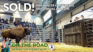 SOLD! Denver Stock Show Bison Auction