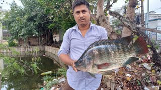 amazing village fishing