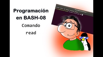 Aprende a programar en bash script - 08 comando Read. Leer datos introducidos por teclado.