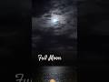 Full moon at the beach #badbunny #chanyinbarcelona #barcelonalife #barcelonetabeach #solareclipse