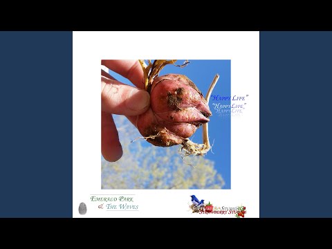 YouTubeでHappy Life (Cantata in C Major (Summer of the Lily Stargazers / Home) (feat. Earth & Dapper...を視聴