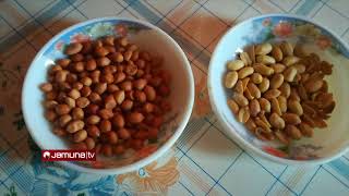 বেশি করে চীনাবাদাম খান; অনেক উপকার পাবেন | Peanut