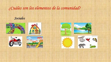 ¿Cuáles son los 10 elementos de la comunidad?