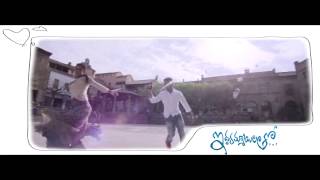 Iddarammayilatho Violin Song Trailer