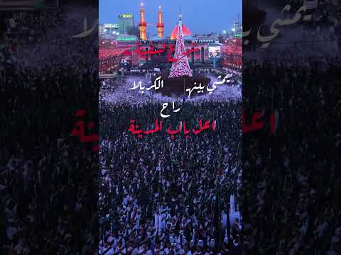 شراع السفينة يمشي بينهـ حيدر البياتي تصميمي موكب بني عامر لايك اشتراك يا حسين 
