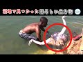 最も衝撃的な釣りの瞬間10選！ 漁師は沼地で恐ろしい生き物を発見し、そのまま水中に引きずり込まれました。#top #top10 #ランキング #神秘 #世界 #世界一 #カメラ #発見