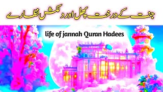 Jannat KY phal | Jannat KY saye | Jannat ki zindagi | Islamic jannah | haddiyah Al-Islam