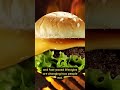 India’s food mood in 2025 🍽️ Biryani still rules, burgers grow fast