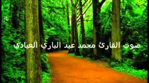 محمد عبد الباري من سورة الحشر