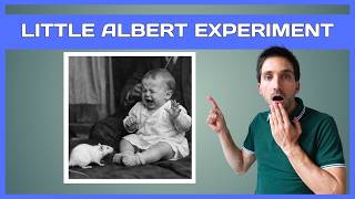 The Little Albert Experiment Explained: A Lesson in Classical Conditioning