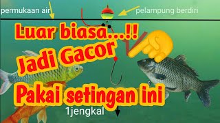 Settingan pelampung mancing ikan mas yang tepat || cara mengatur pelampung yang tepat screenshot 4