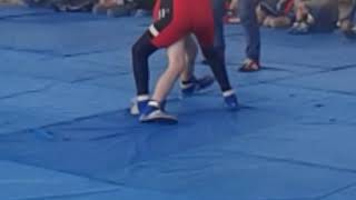 Pərvin Məmmədov Şəmkir