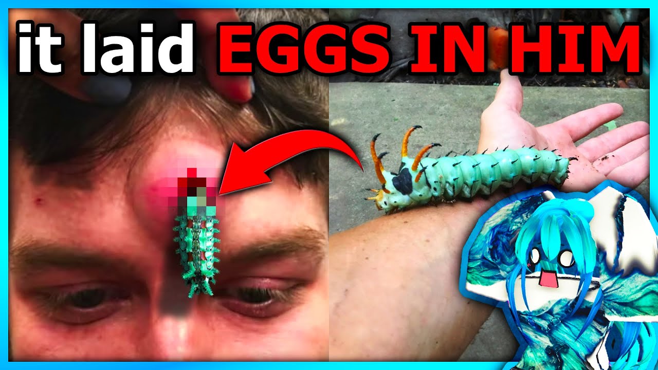DISGUSTING BUGS That YOU Don't Want NEAR YOU...