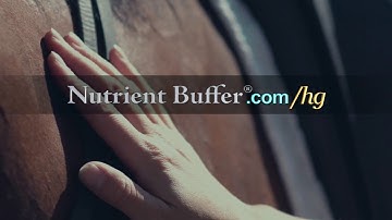 Equine Leaky Gut Syndrome - Hind End Paralysis