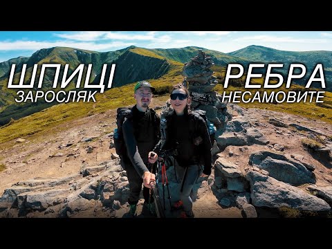 THIS route through the Carpathians is worth taking for everyone | Shpytsy – Rebra – Nesamovyte | ...
