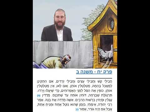 Shabbat Chapter 18 - Youtube