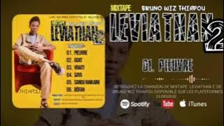 Bruno Wiz Thiapou_01.Pieuvre _by-Visko 2024