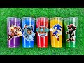 Paw Patrol X Sonic The Hedgehog 2/Action Figure/Chase/Funbot/Knuckles/Marshall/Sky/Everest/Sonic
